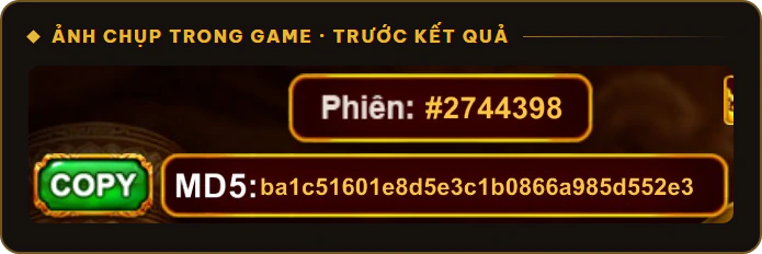 Mã MD5 của phiên #2744398 hiện trước khi có kết quả
